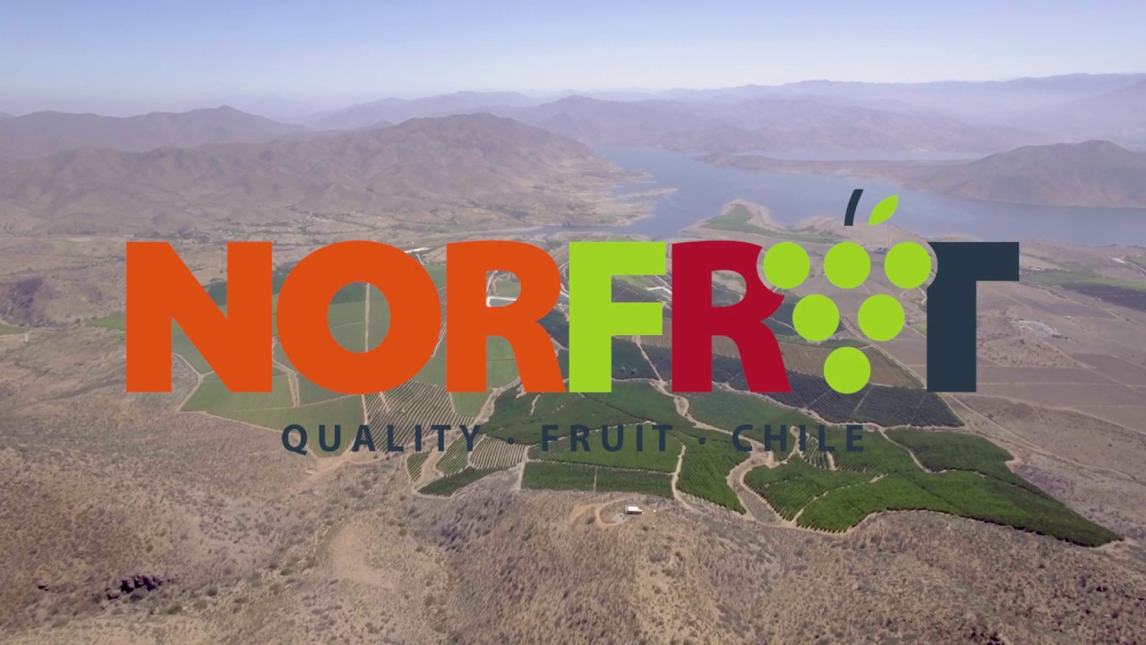 Norftut Quality Fruit Chile Norftut Quality Fruit Chile