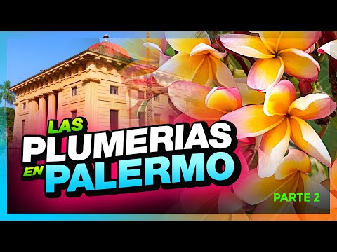 Video: Descripción y fotos del Jardín Botánico (L'Orto Botanico di Palermo) - Italia: Palermo (Sicilia)