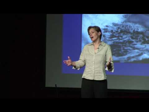 TEDxAsheville - Dee Eggers - Dolphins as Persons