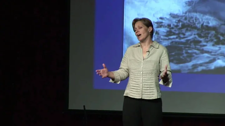 TEDxAsheville - Dee Eggers - Dolphins as Persons