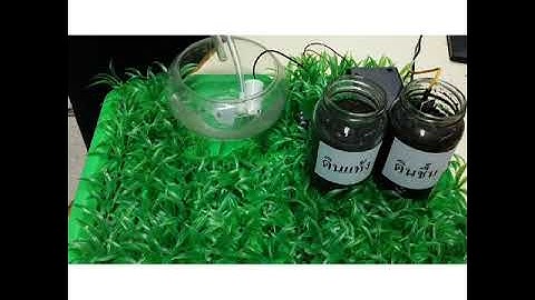 Project ระบบรดน้ำต้นไม้อัตโนมัติด้วยเซนเซอร์วัดความชื้นในดิน