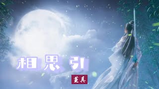 【董真】· MV[相思引] | 网游《诛仙》的主题曲之一，由歌手董贞演唱，小旭音乐谱曲和编曲，以诛仙男女主人公张小凡，陆雪琪的爱情为背景故事创作。