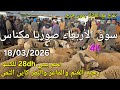أثمنة الغنم والبقر واللحوم والخضر سوق الأربعاء صوريا مكناس اليوم 18 03 2026