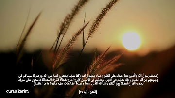 محمد رسول الله والذين معه اشداء على الكفار#سوره#الفتح