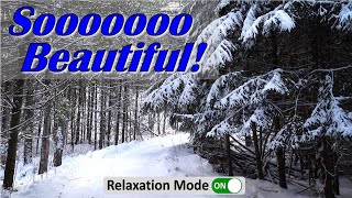 Sooooo Beautiful!  Fantastic snow and ice in mid-February