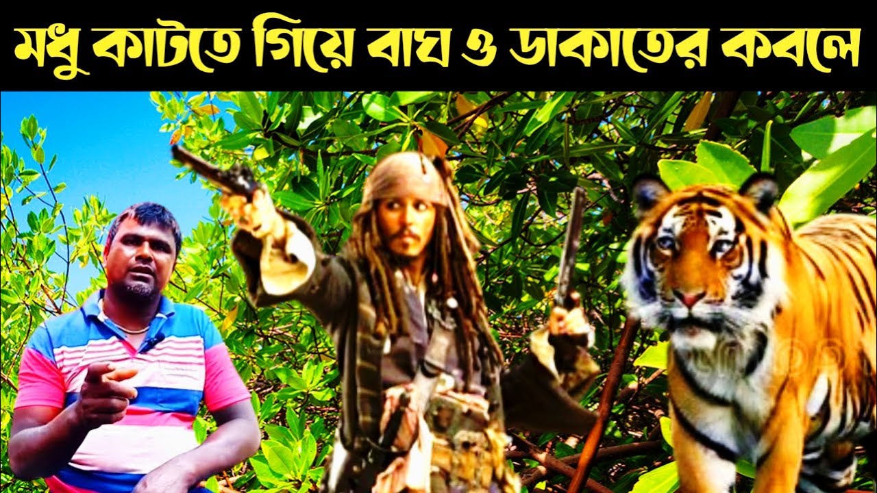 জঙ্গলে ভয়ঙ্কর মৌমাছি,বাঘ ও ডাকাত || Sundarban Honey Collection