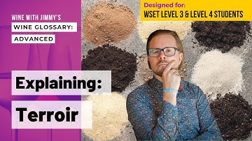 WSET Level 3 and WSET Level 4 (WSET Diploma): Explaining Wine Terminology - Terroir