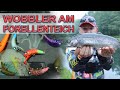 Wobbler am Forellenteich | Forellenangeln im Angelparadies Eschede