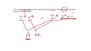 page 23 q4