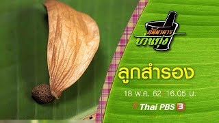 ลูกสำรอง : ภัตตาคารบ้านทุ่ง (18 พ.ค. 62)