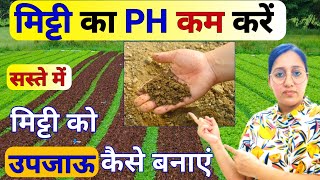 मिट्टी के PH मान में सुधार | Alkaline Soil Treatment | gypsum fertilizer | Soil ph | acidic soil