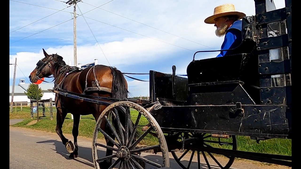Amish Country Bike Ride YouTube