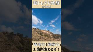 毎日ショート脳トレ！ #0802  「丘上の神津島灯台」｜写真のアハ体験間違い探しで脳を活性化しよう！