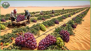 How California Built Desert Farms to Feed 340 Million Americans While Running Out of Water