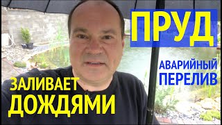 Пруд заливает проливными дождями // Дренаж и Перелив в моем пруду на участке возле дома