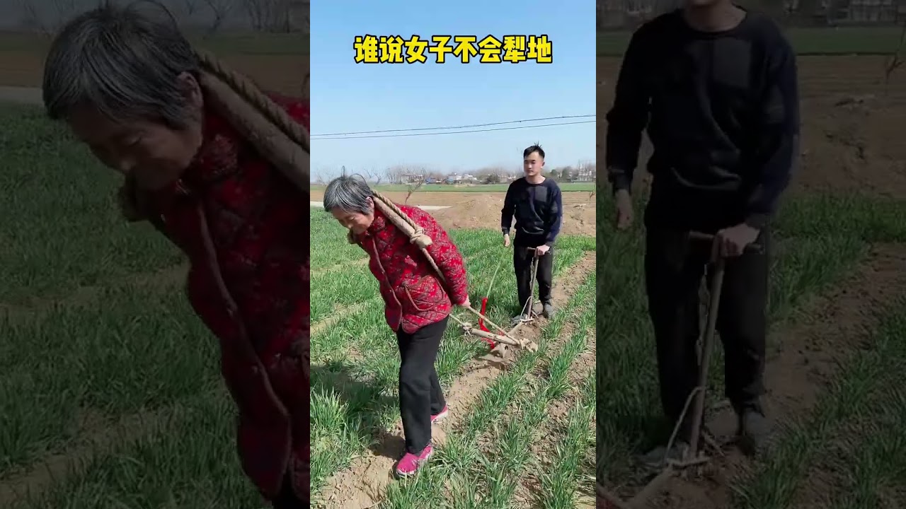 I didn't expect that a cow without legs can plow the land so well😂