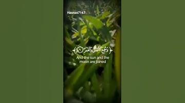 قراءة سورة القيامة للقارئ ياسر الدوسري #الجميع #قران_كريم