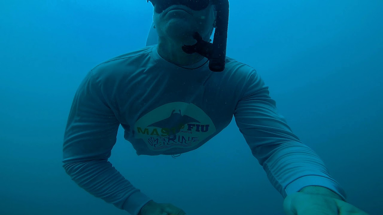 MAST@FIU SEACORPS Debut