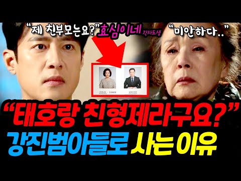 [효심이네 각자도생] 강태호 강태민은 친형제.  강태민이 강진범의 자식으로 사는이유는..