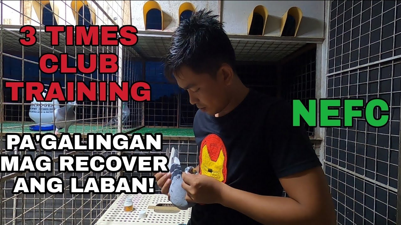 PAGALINGAN MAG RECOVER NG MGA IBON/ 3 TIMES CLUB TRAINING KAYANIN KAYA!