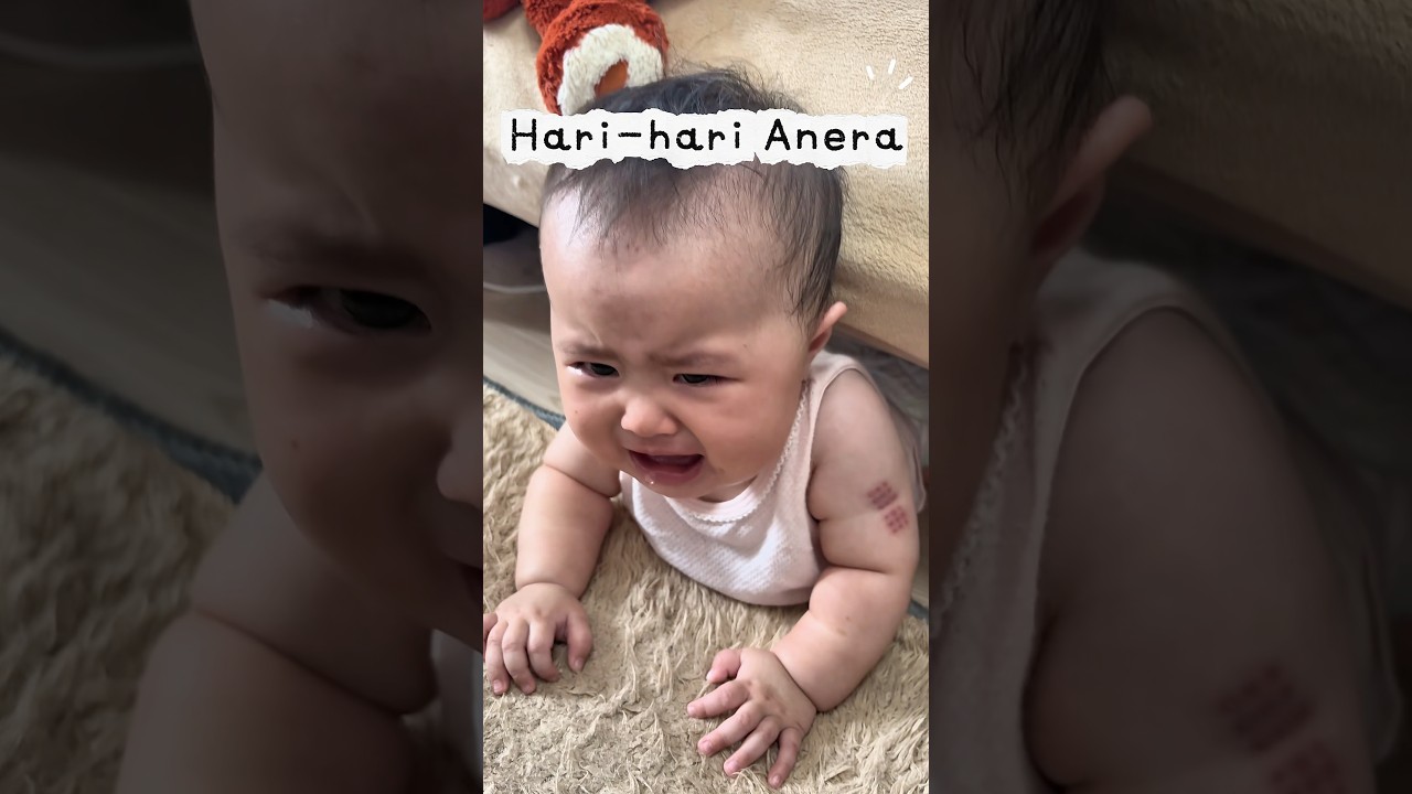 Hari ini Anera bikin Mama ketawa lagi❤️ #Baby #BabyReels #Indonesia #Jepang #Shorts #Kulpa #Bayi