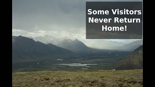 Holiday in Yukon, a Scottish residents perspective