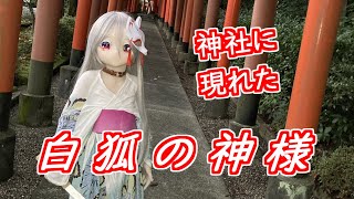 【ラブドールとの日常】和服狐面リリちゃん、神社で早朝撮影【ゆっくり解説・ゆっくり茶番劇】