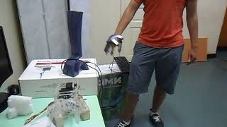 Bionic hand