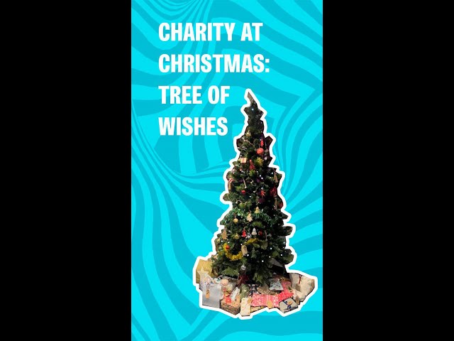 Charity at Christmas - Tree of Wishes