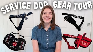 SERVICE DOG GEAR TOUR | updated service dog gear collection ft. harnesses, vests, hybrids, and more!