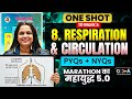 8.Respiration & Circulation | ONE SHOT 10 Mark's + PYQs + NYQs🔥Marathon का महायुद्ध 🔥ASC