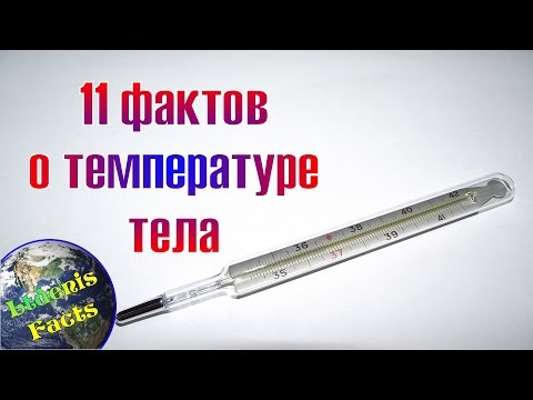 11 фактов о температуре тела человека