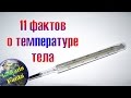 11 фактов о температуре тела человека