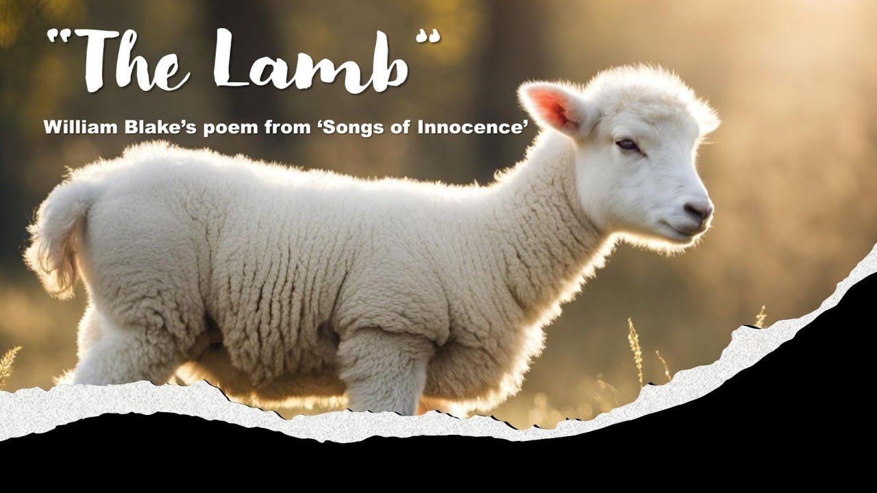 William Blake's poem "The Lamb" | Songs of Innocence | Line-by-Line