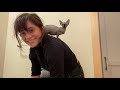 I got a sphynx cat! の動画、YouTube動画。