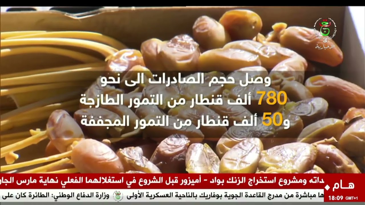 تجارة خارجية - تصدير | دقلة نور .. جودة ونوعية تغزو الأسواق العالمية