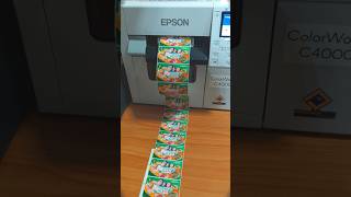 Full Bleed Printing Pre-Cut Matte Pp Label