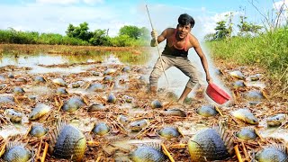 Amazing Fishing A Fisherman Skill Catch Fish A Lots In Mud At Special Place By Best Hand Today