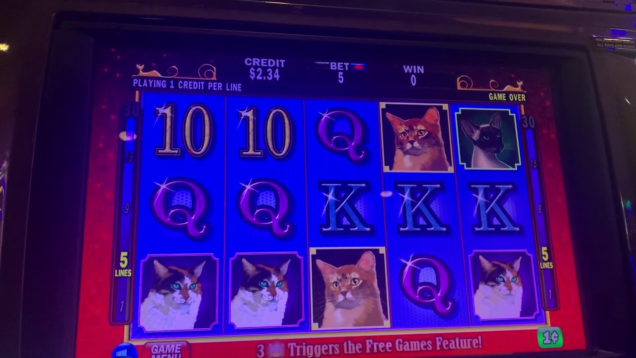 Glitter Kitty Slot Machine YouTube