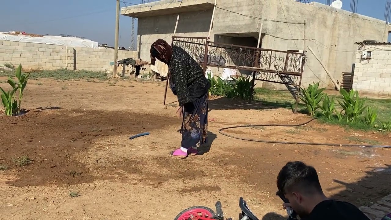 الحصيني اكل البيضات😱ولا خليل باعهن😂خليل وعلاء#كوميديا #ام_خليل #خليل_وعلاء #كوميدي