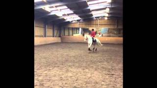 Merlin training 03/05/15