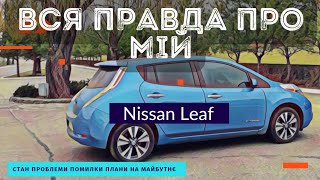 :     Nissan Leaf 2013.  ,  ,   .