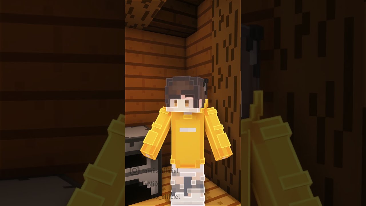 Ce Pote Insupportable Sur Minecraft