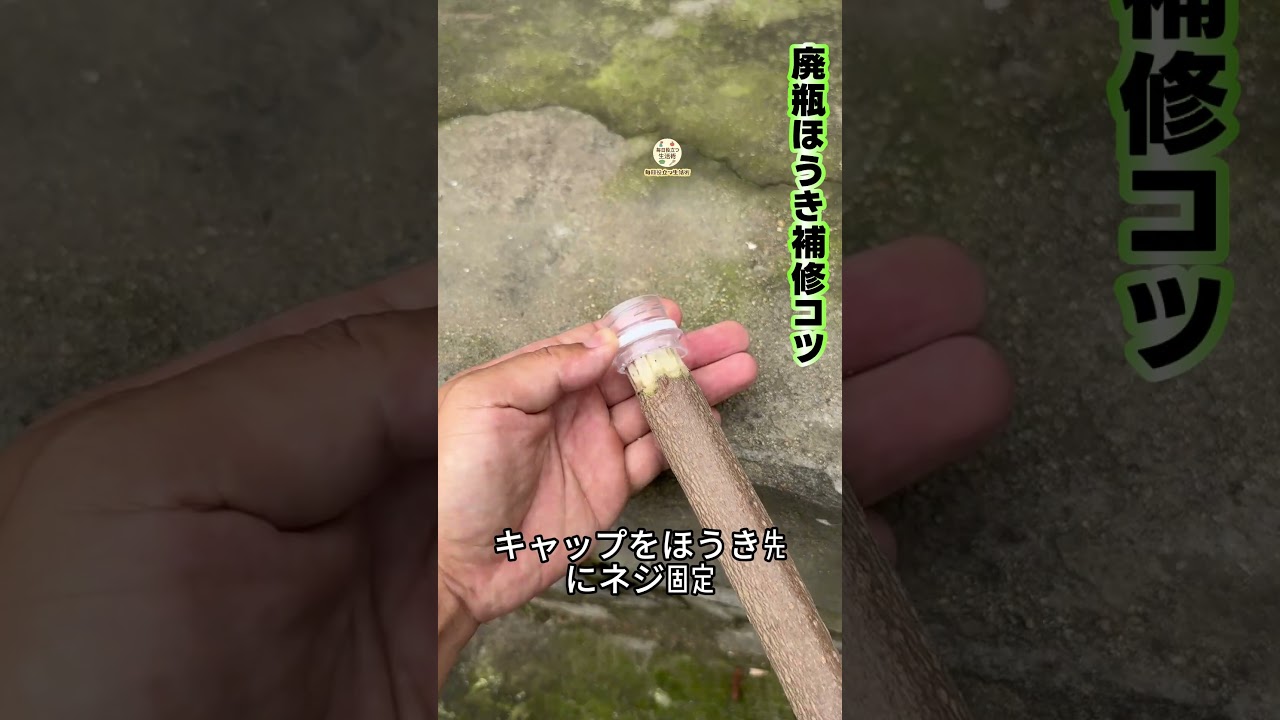 【ペットボトルでほうき修理】廃瓶活用、壊れたほうき簡単補修～ #リメイクテク #実用知識