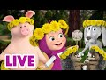 🔴 LIVE STREAM 🎬 Masha and the Bear 🌼🐰 Animals Want to Party! 🏖🐷