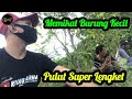 Memikat Burung Burung Kecil Dengan Pulut Super Ampuh Dijamin Burung Pasti Lengket Part I Mp3 - Mp4 Download