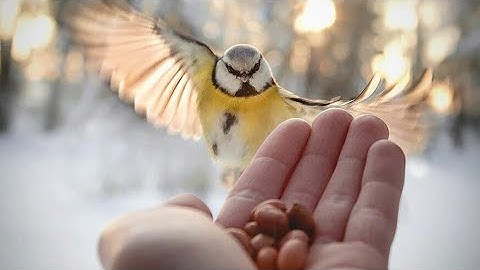 خمسة حقائق ونصائح مدهشة عن القرآن الكريم لا تجعلها تفوتك !!