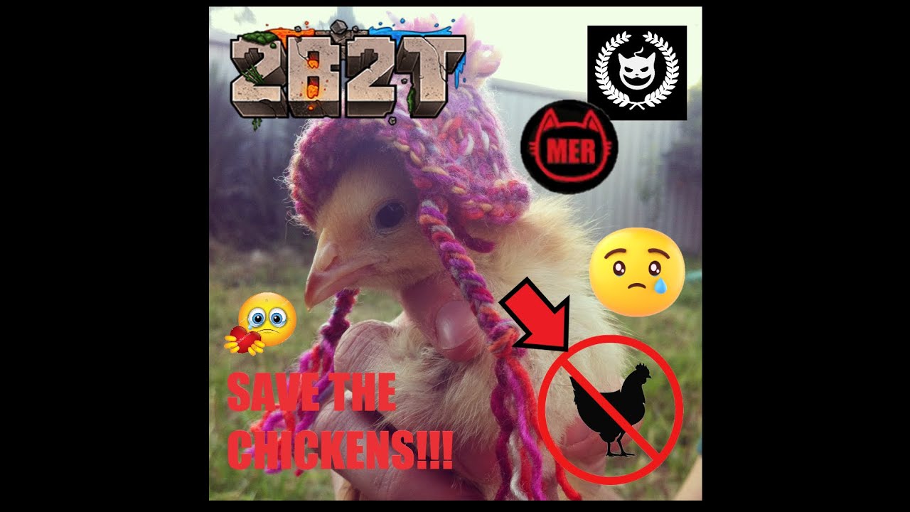 2B2T EMERGENCY PSA - Against Cruelty & Abuse - We Need Your Help!
