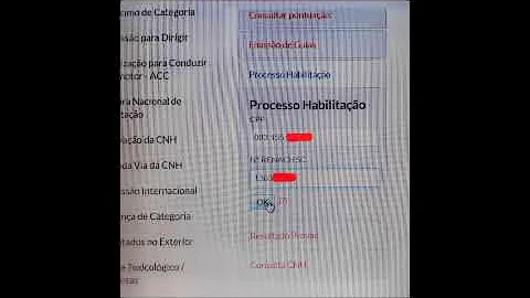 Como descobrir minha CNH pelo CPF?