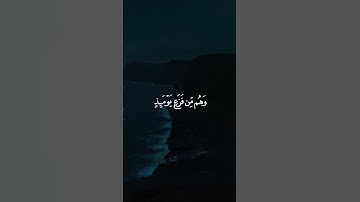 من جاء بالحسنة فله/ القارئ عبدالرحمن مسعد #قرآن
